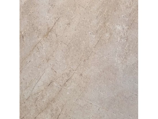 ROOTS TAUPE 60x60 (44 m2)