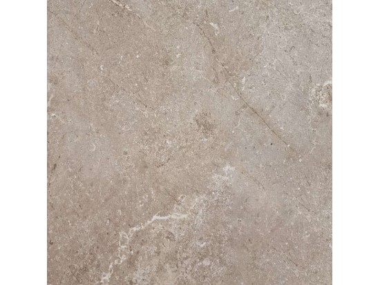 ROOTS TAUPE 60x60 (44 m2)